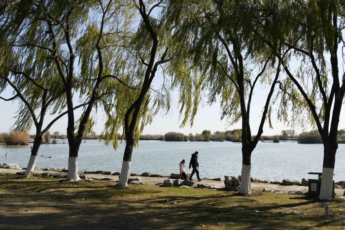 2022年12月18日，市民在巢湖湖滨国家湿地公园休闲。新华社记者 张端 摄