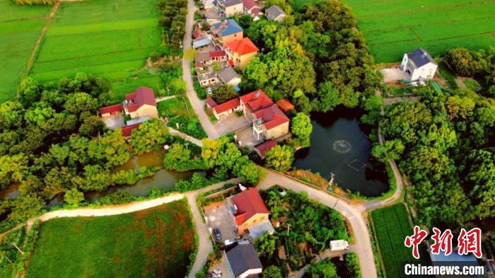 小浦镇画溪村风光。　杨心瑜供图