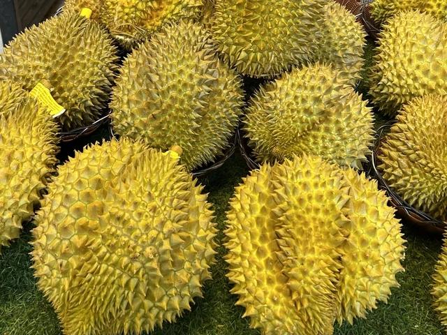 图/广州日报新花城记者：吕惠