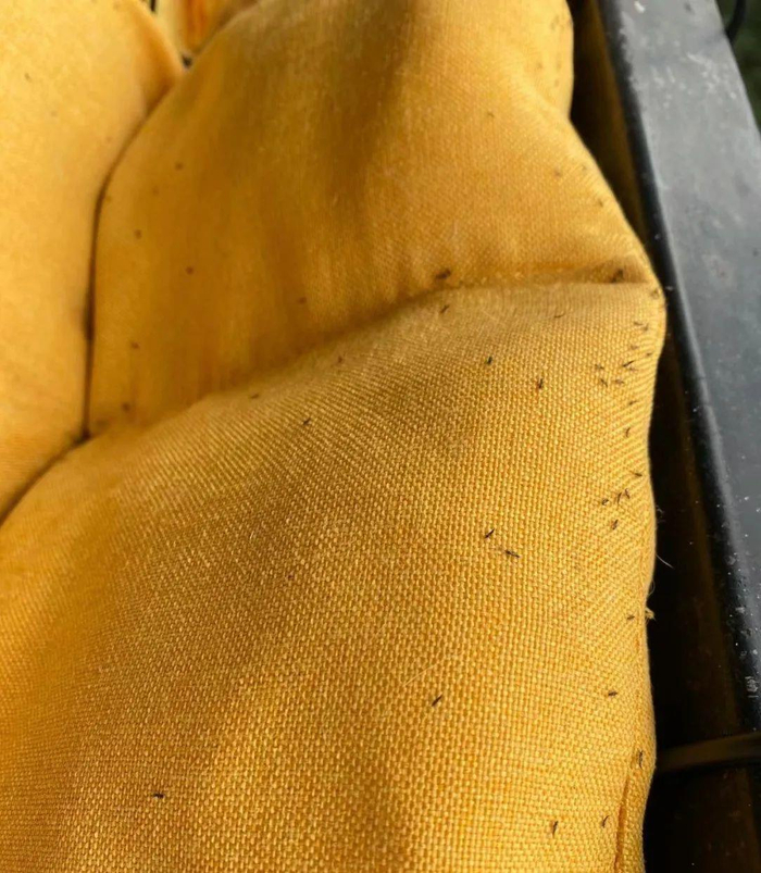 图片来源于网络