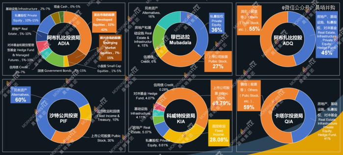 资料来源：各基金年报、Global SWF，晨哨并购制作