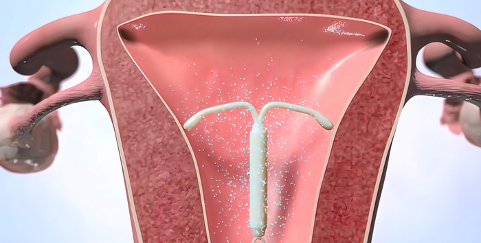 图片源于千图网