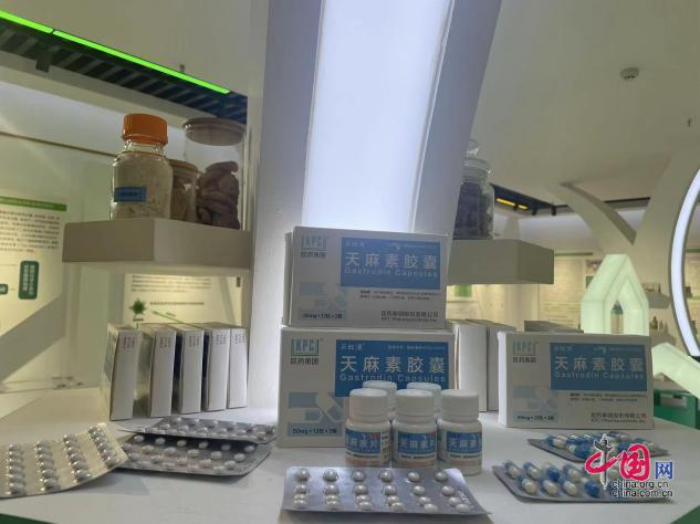 图为研发的药物产品展示。中国网 殷晓霞摄