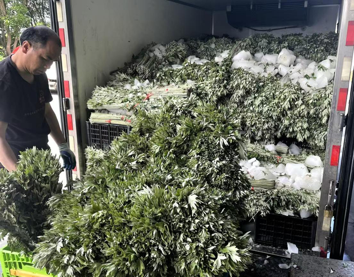 艾草、菖蒲、香囊等节令商品也畅销。叮咚买菜供图