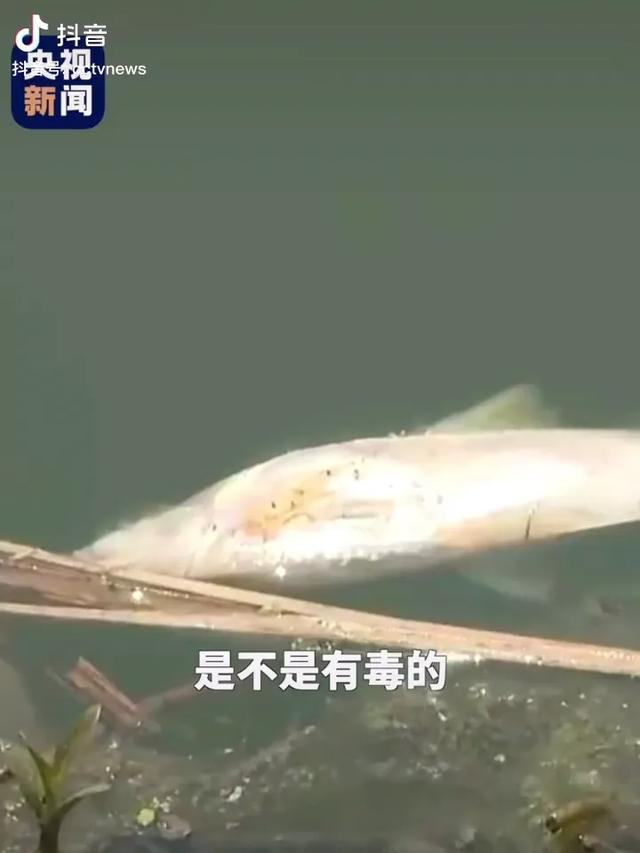 图/来源央视新闻