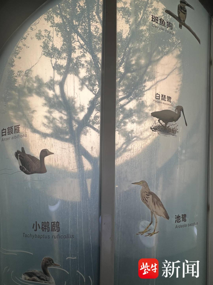  薄云峰 摄