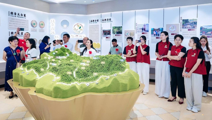 参观人员了解云南“新”六大普洱茶山地貌