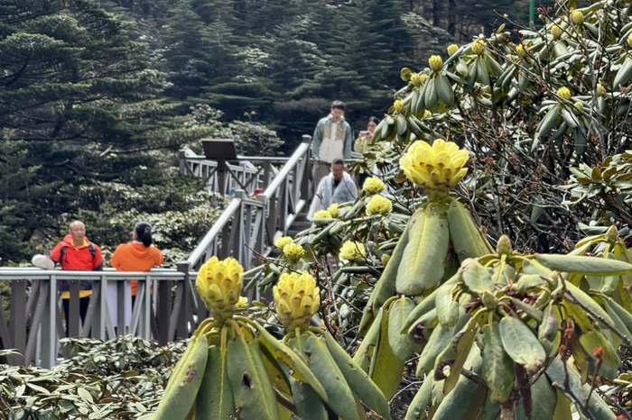 金镇雄 金杰 施隽伟 摄