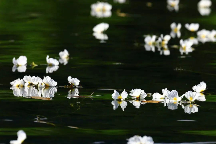 马登科 陈畅 汪华 摄
