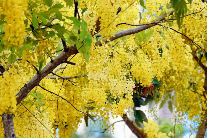 赵诗雨 唐念邦 摄