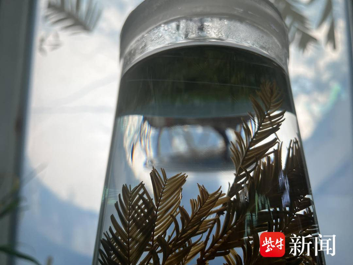  薄云峰 摄