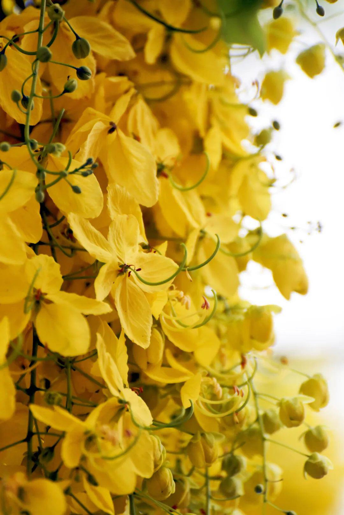 赵诗雨 唐念邦 摄