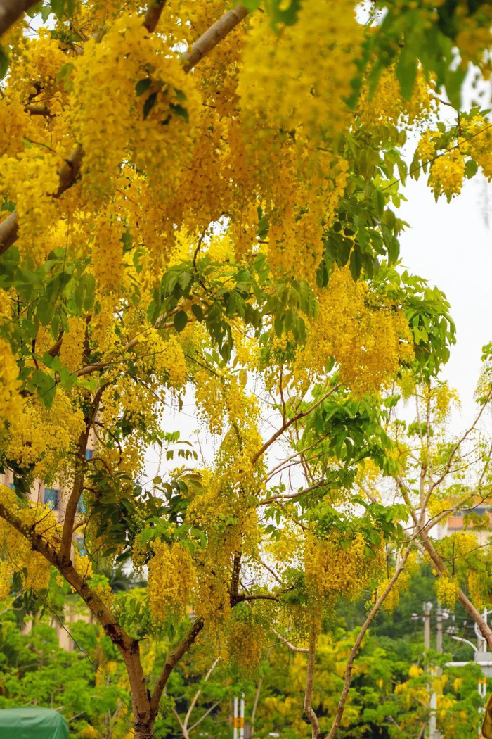 赵诗雨 唐念邦 摄