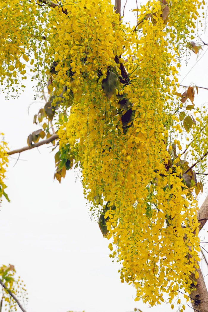 赵诗雨 唐念邦 摄