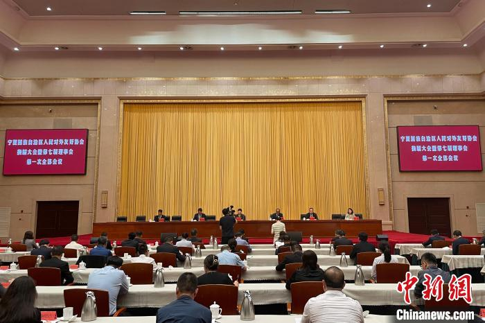 会议现场。　中新网记者 李佩珊 摄