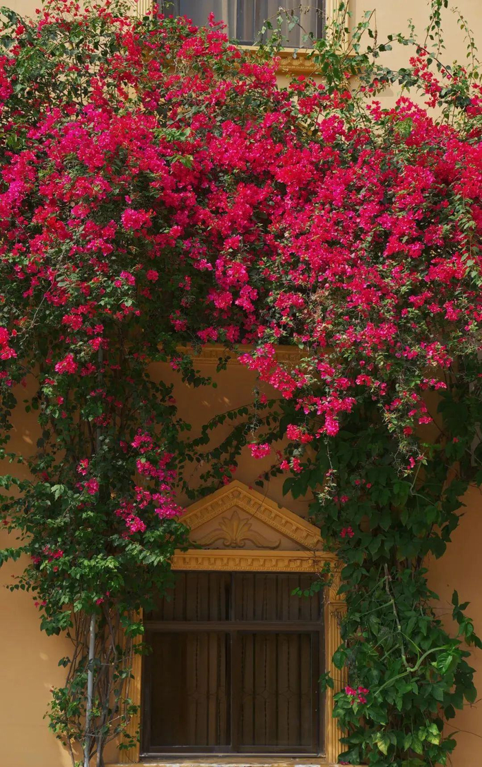 李翎 闫蕾 王世蕊 摄