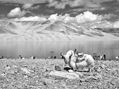 新疆克孜勒苏柯尔克孜自治州阿克陶县白沙湖景区美景。新华社记者 戴子鸾摄