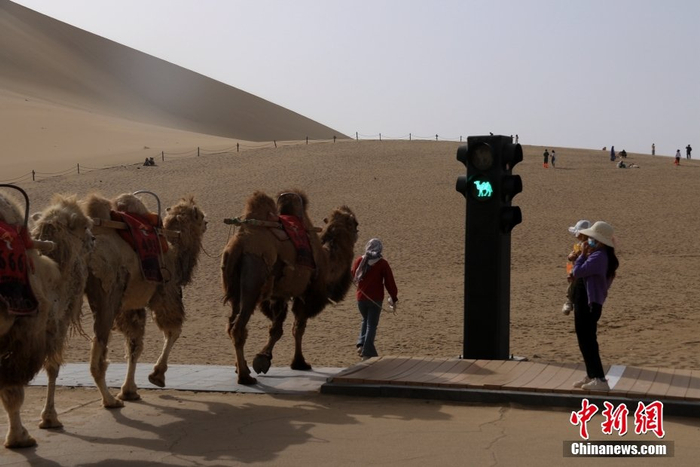 图/CNSphoto 张晓亮 摄