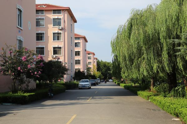 莱西市沽河街道庄扶新村村貌 莱西市委组织部供图