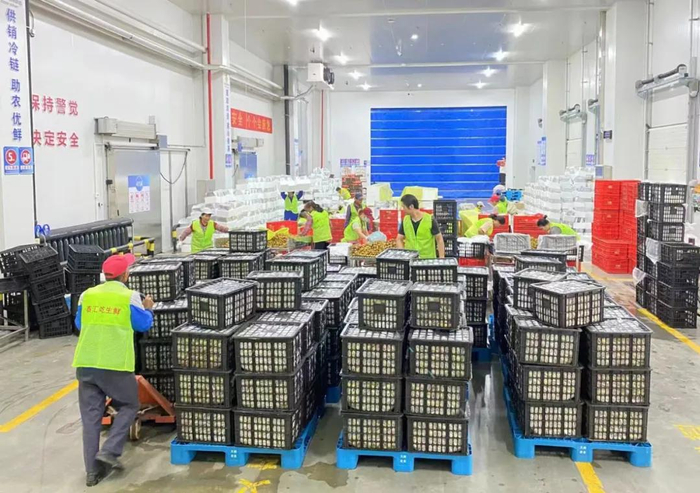 工人在打包荔枝准备发货 祝新智 摄