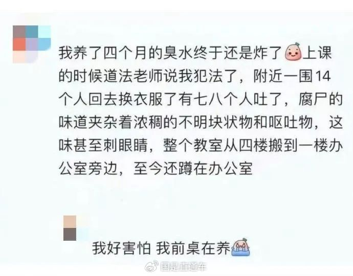 🔹网友评论。来源：网络
