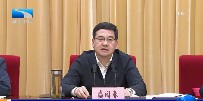 图片来源：《湖北新闻》截图