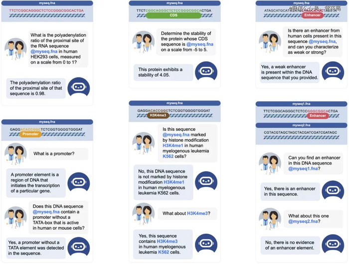 图：ChatNT的使用界面