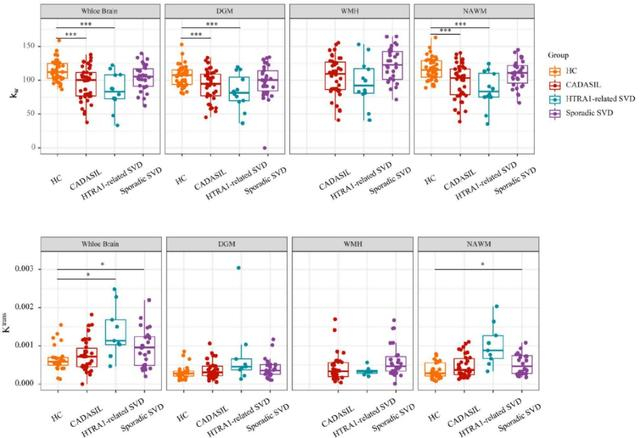 图2 三组cSVD患者和对照组kw及Ktrans的比较
