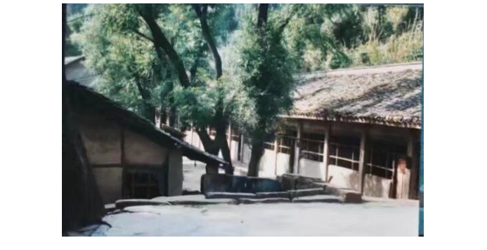 嘉陵区八角小学（资料图片）