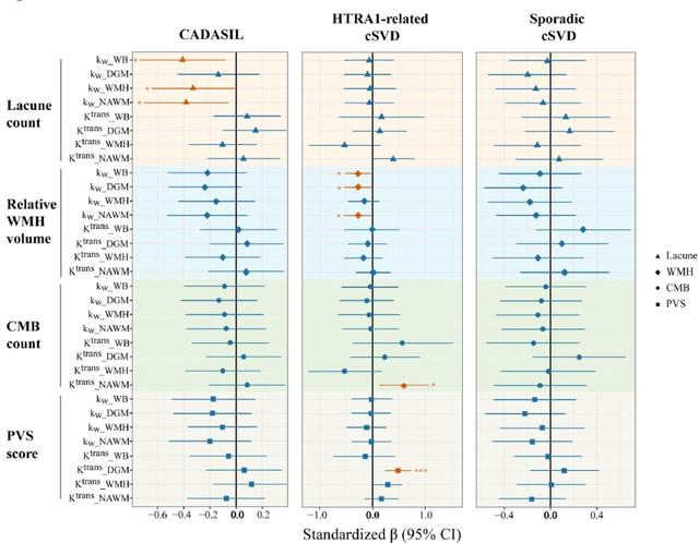 图4 三组cSVD中kw和Ktrans与