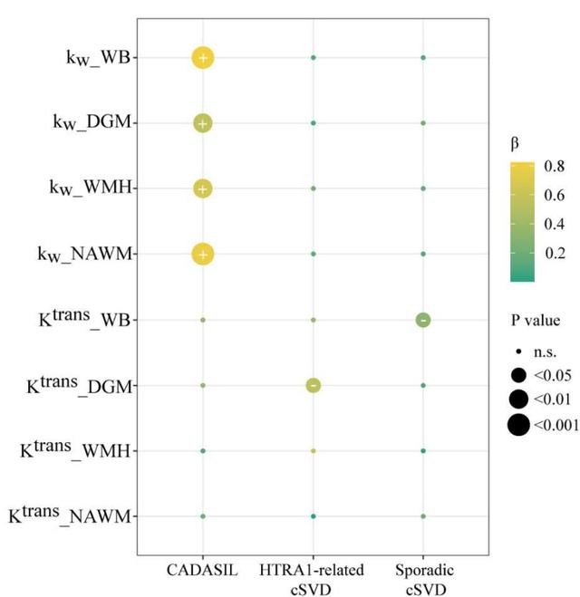 图5 三组cSVD中kw和Ktrans与认知功能的相关性