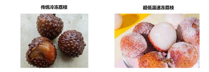 图源：华南农业大学供图