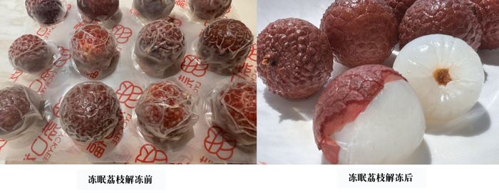 图源：中国三农发布记者拍摄