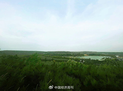 曾经坑坑洼洼的采矿区已是一片郁郁葱葱    《中国经济周刊》记者  张燕I摄