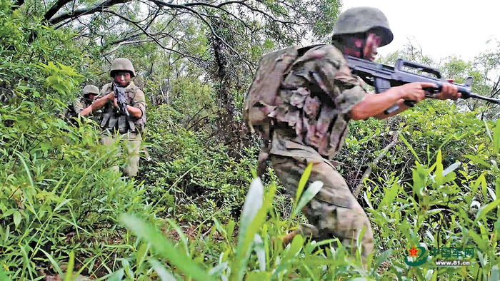 　　该旅官兵在丛林中搜索前进。张飞跃摄