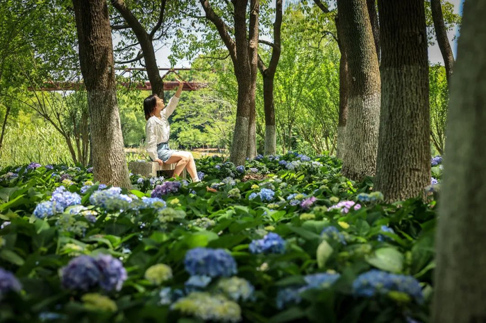 图源：相韵文旅