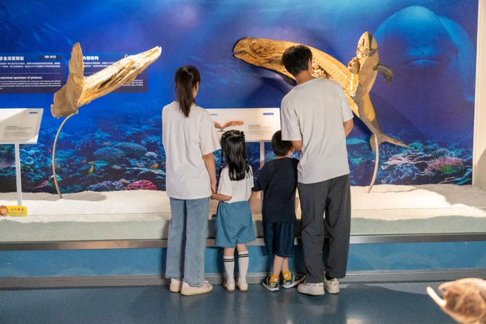 图源：周庄生命奥秘博物馆