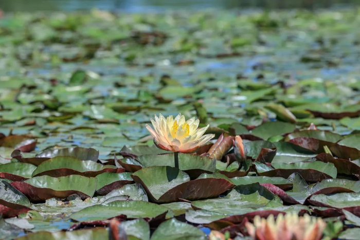 图源：相韵文旅