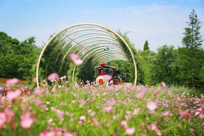 图源：同里国家湿地公园