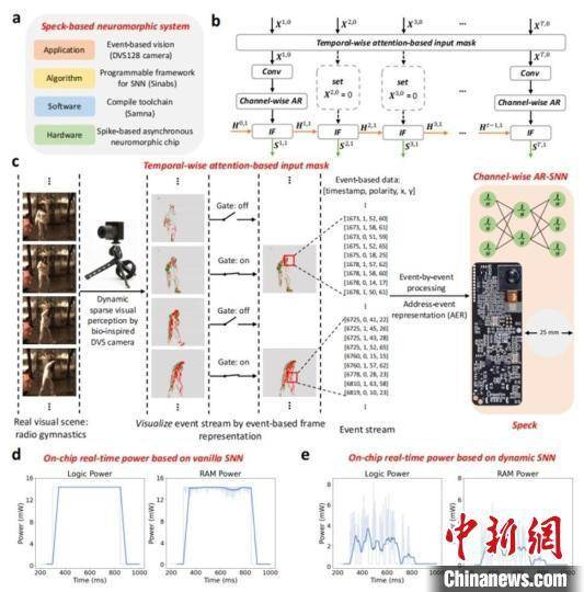 本次研究融合了注意力脉冲动态计算的类脑神经形态系统级芯片Speck原理示意图。中国科学院自动化研究所/供图