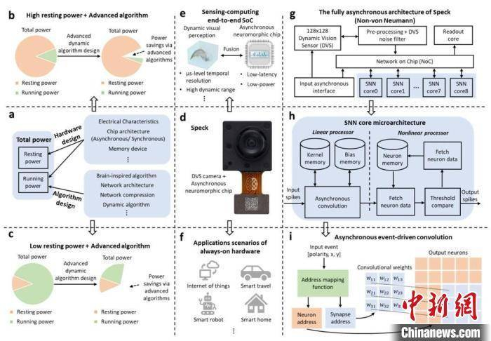 本次研究的类脑神经形态系统级芯片Speck设计框架。中国科学院自动化研究所/供图