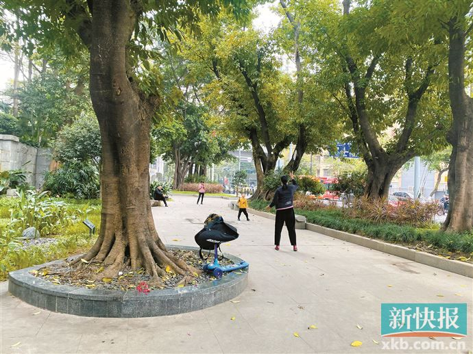 鲁迅纪念公园里，市民在打羽毛球。