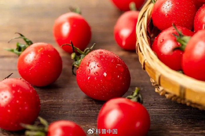 图库版权图片，不授权转载