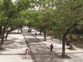 齐齐哈尔市龙沙公园：4000多平方米，完成改造！