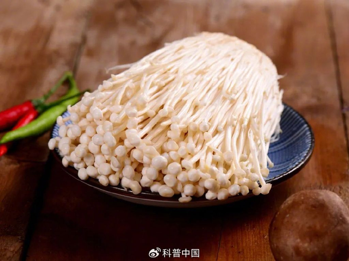 图库版权图片，不授权转载