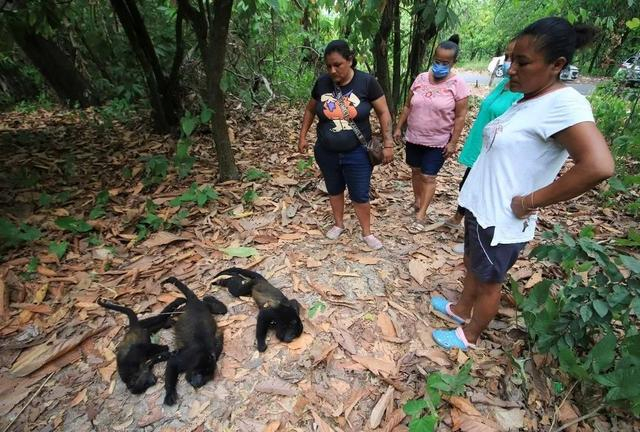 图片来源：央视新闻客户端