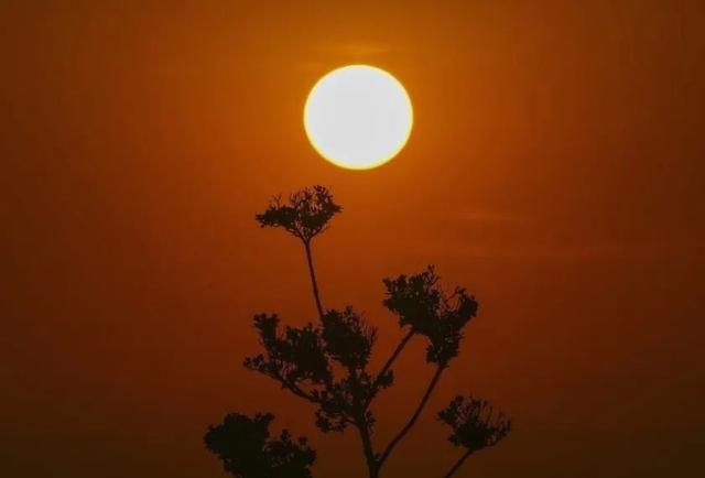 图片来源：央视新闻客户端