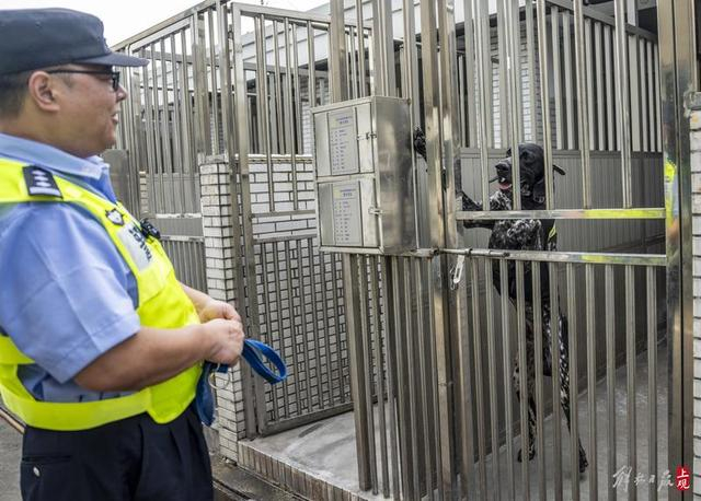 民警陈俊和警犬“虎头”（孟雨涵 摄）