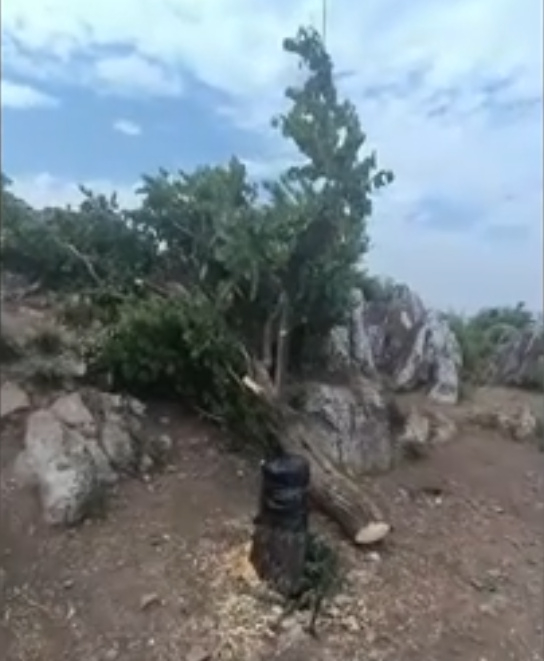 视频截图