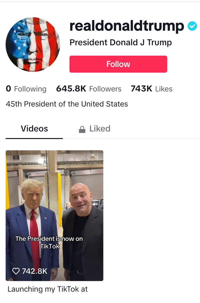 特朗普在TikTok发布的首个视频截图